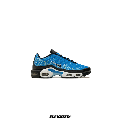 Nike Air Max Plus TN